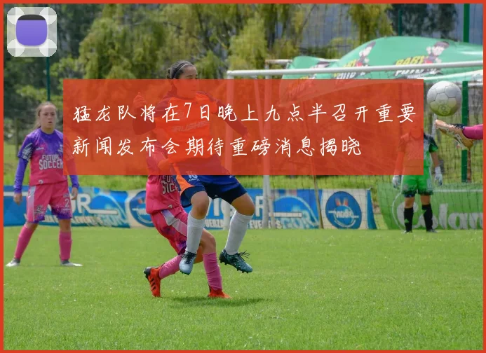 猛龙队将在7日晚上九点半召开重要新闻发布会期待重磅消息揭晓