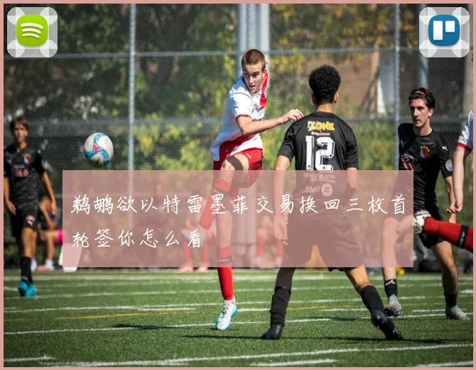 鹈鹕欲以特雷墨菲交易换回三枚首轮签你怎么看